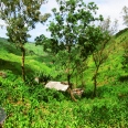 Aventure et spectacles naturels / 